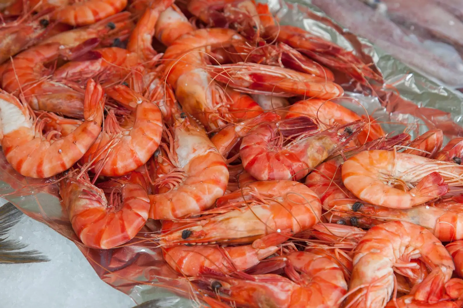 Camarones crudos sobre hielo
